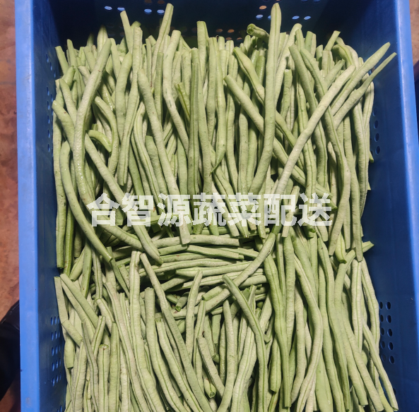 重慶食材配送供應商：品質與效率的雙重保障